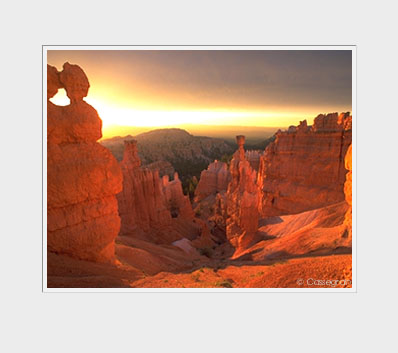 Bryce Canyon Nat'l Park, Utah