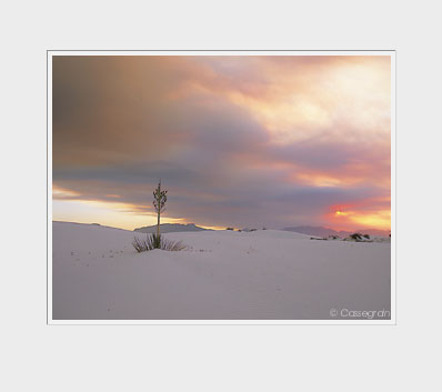 White Sands Nat'l Monument, New Mexico