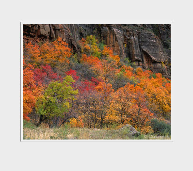 Zion Nat'l Park, Utah
