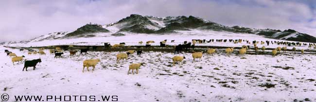 Montagnes de l'Altay