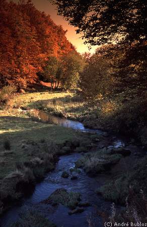 Cantal-avec filtre tabac