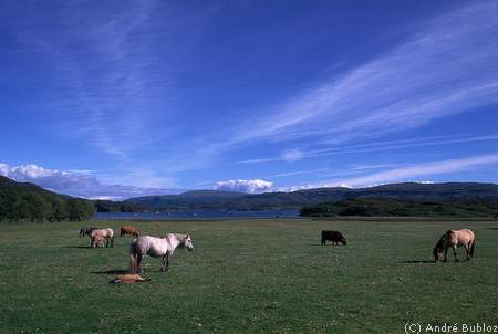 r�gion de l'Ayrshire