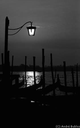 Au bord de la lagune