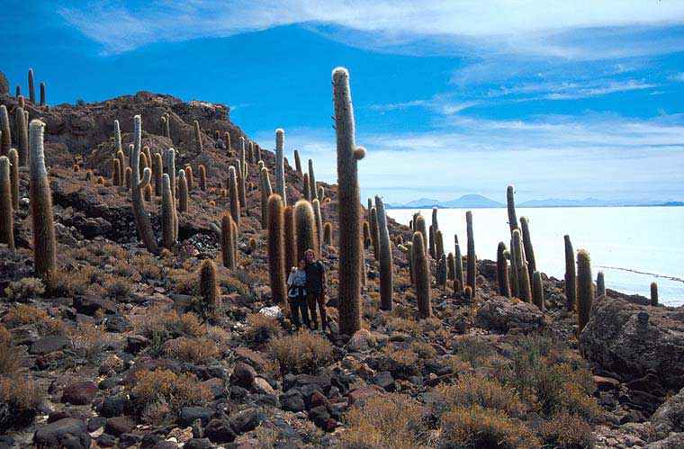 Isla de los Pescadores