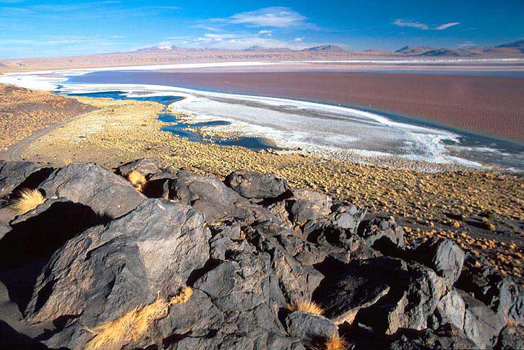 Laguna Colorada