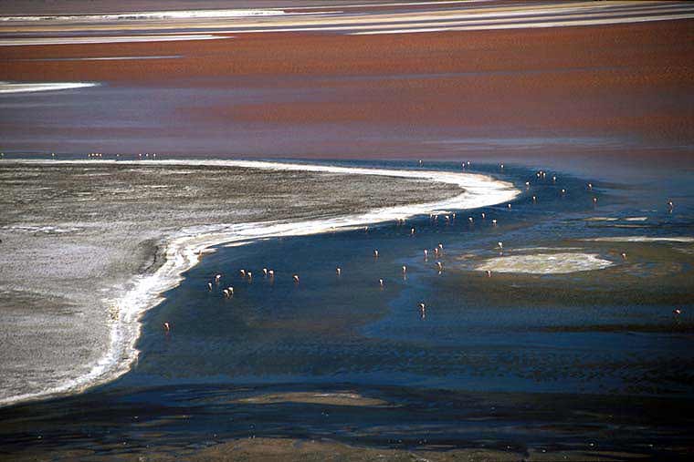 Laguna Colorada