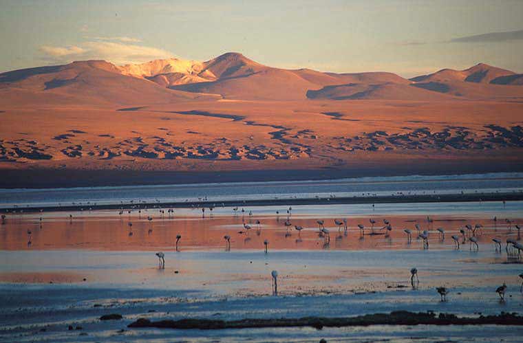 Laguna Colorada