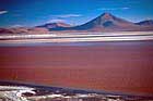 Laguna Colorada