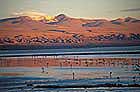 Laguna Colorada