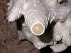 Broken stalagtite