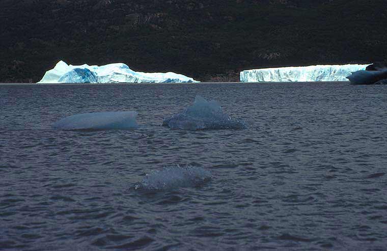 Sea Icebergs