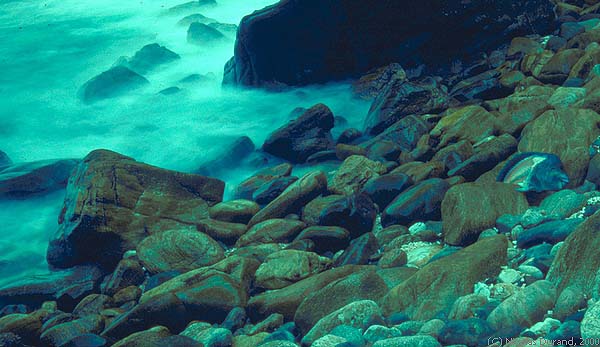 Eaten fish & misty sea