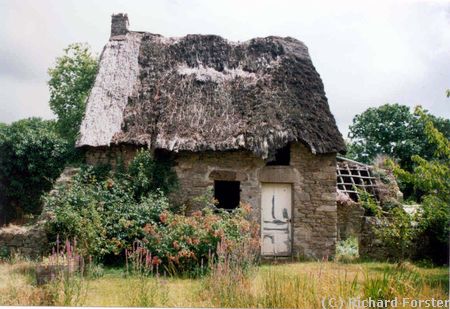Chaumi�re en ruine � St-Lyphard