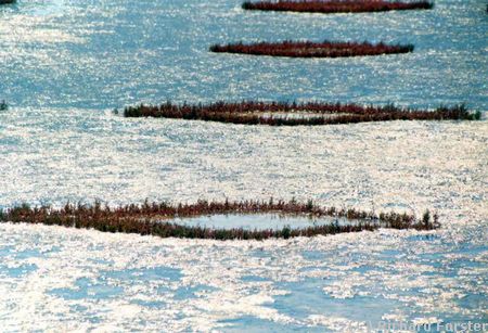 Marais-salants d�saffect�s � Gu�rande