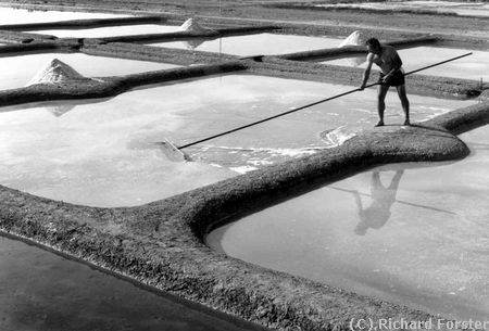 Paludier � Gu�rande