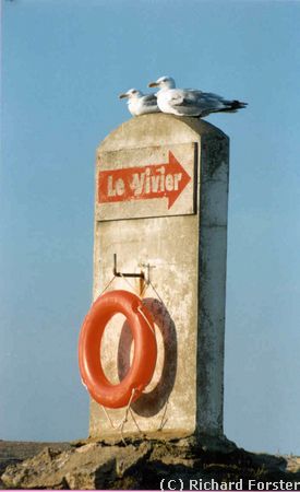 Presqu'�le de Quiberon