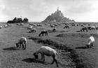 Mont St-Michel