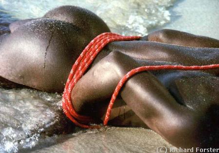 Les liens de l'esclavage