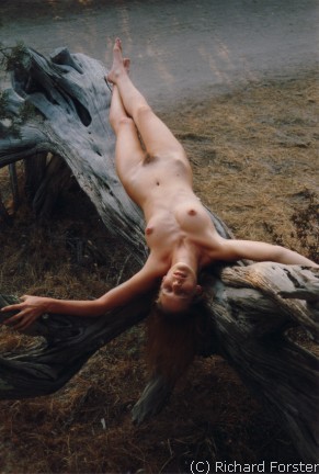 Fibres v�g�tales