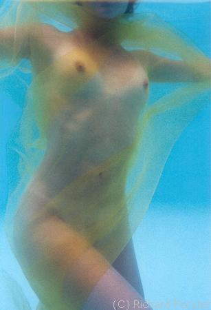 Mon voile d'�piderme