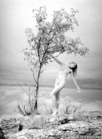 R�ve au-dessus des nuages