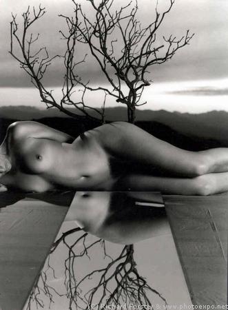 Le buisson calcin�