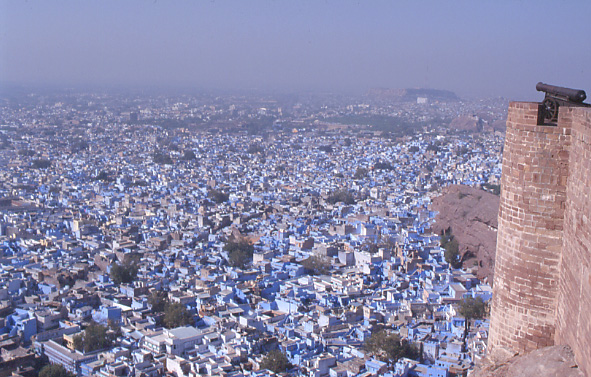 The Blue city (Jodhpur)