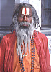 Sadhus in Udaipur